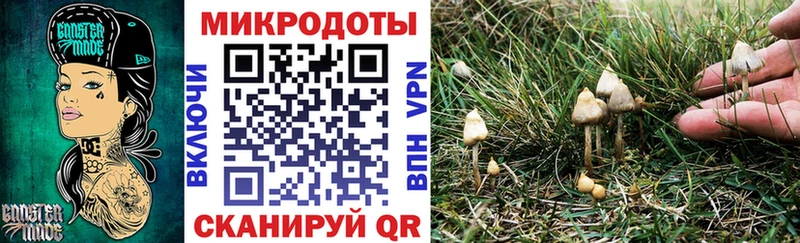 Псилоцибиновые грибы мицелий Биробиджан