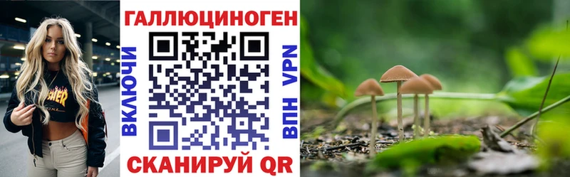 Галлюциногенные грибы мухоморы  Купить закладки  Биробиджан 